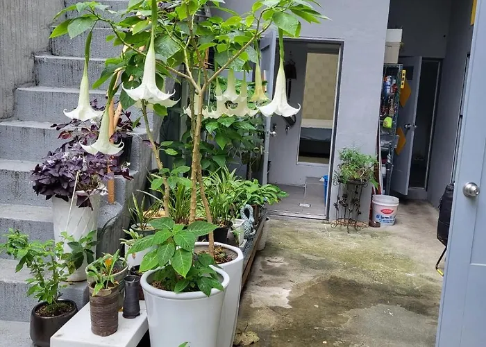 Jun House - Foreign Only Villa Busan